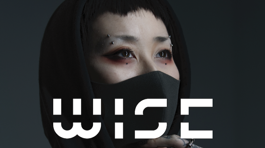 WISE 2019